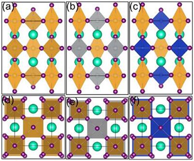 Theoretical Design for the Non-Toxic and Earth-Abundant Perovskite Solar Cell Absorber Materials